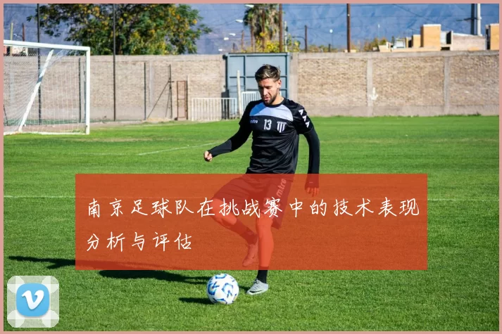 南京足球队在挑战赛中的技术表现分析与评估